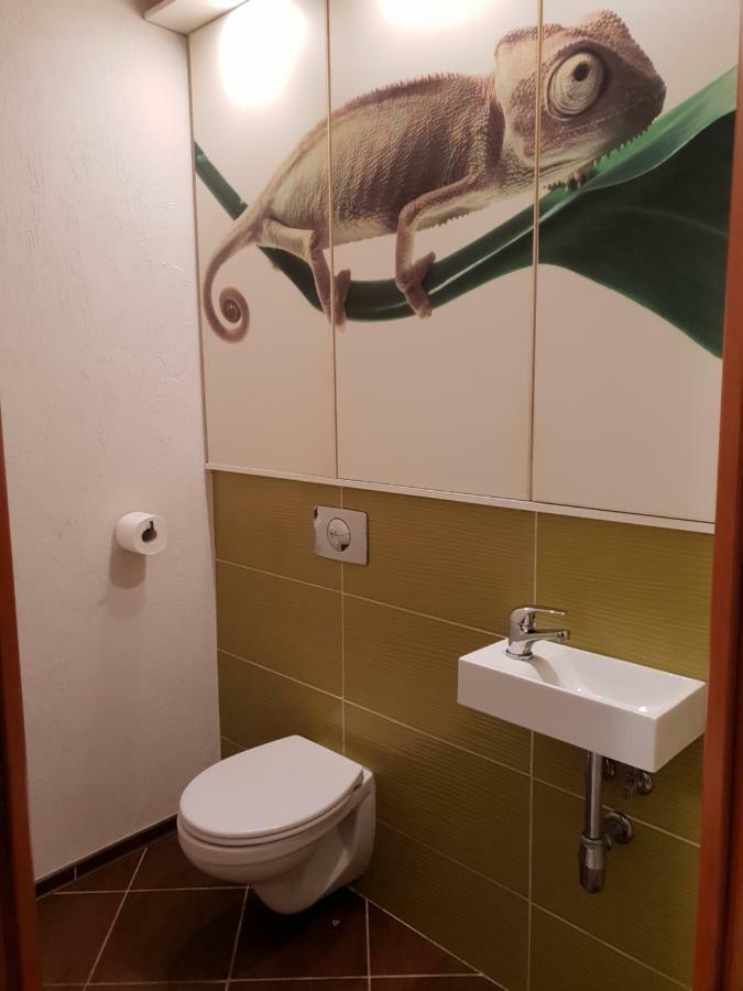 זיילונה גאורה Apartament Szafir מראה חיצוני תמונה